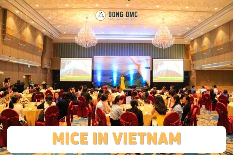 How to organise successful MICE Groups to Vietnam 