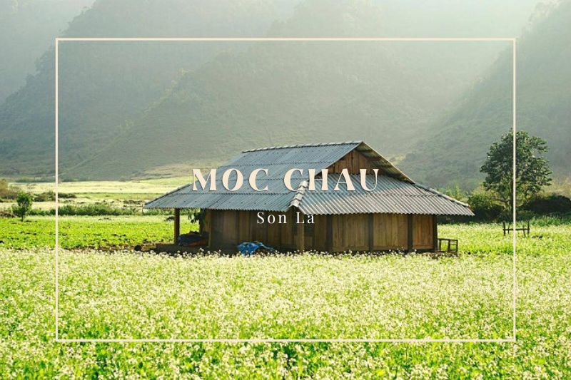 Moc Chau - Asia's leading natural destination 2022