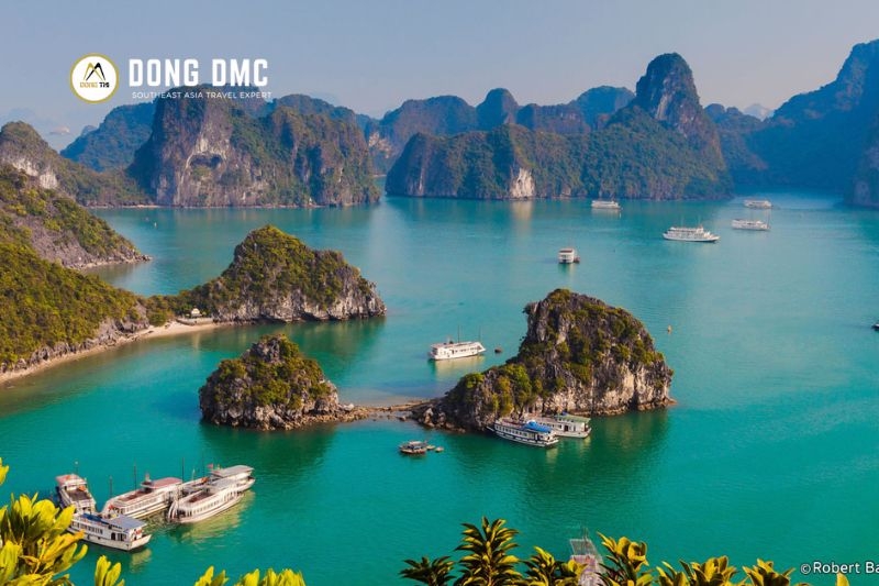 Exploring the Cultural Gems of Vietnam's Dynamic Cities
