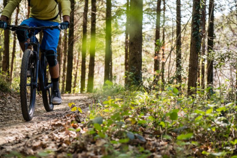 Mountain Biking Adventures in Vietnam