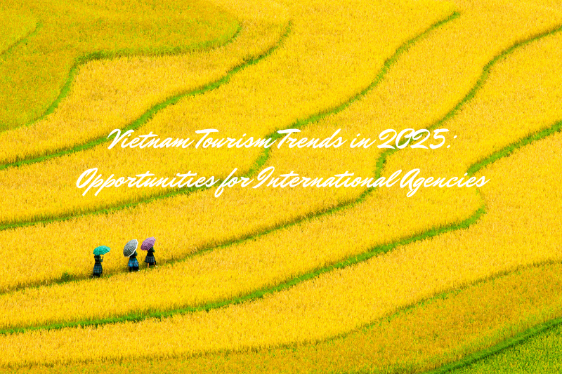 Vietnam Tourism Trends 2025: Key Opportunities for Travel Agencies