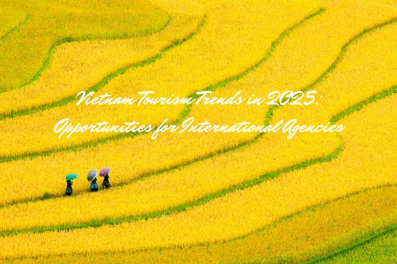 Vietnam Tourism Trends 2025: Key Opportunities for Travel Agencies