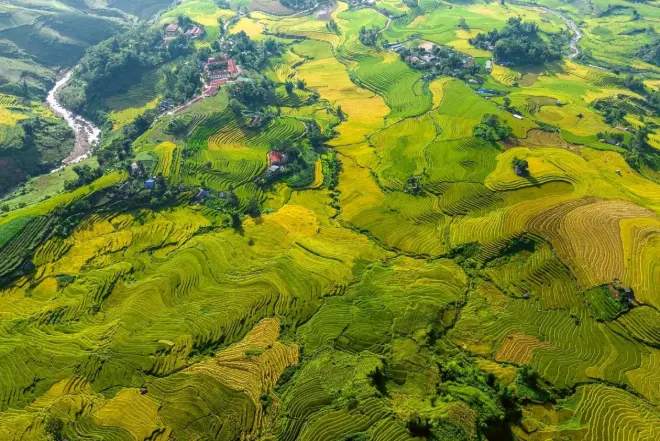 Sapa rice terraces