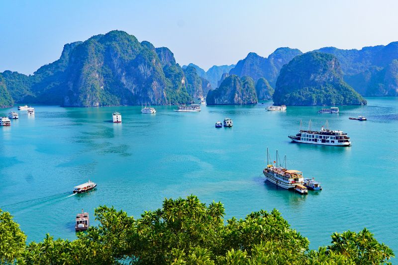 DTD13 - Full day tour Ha Long Bay with lunch