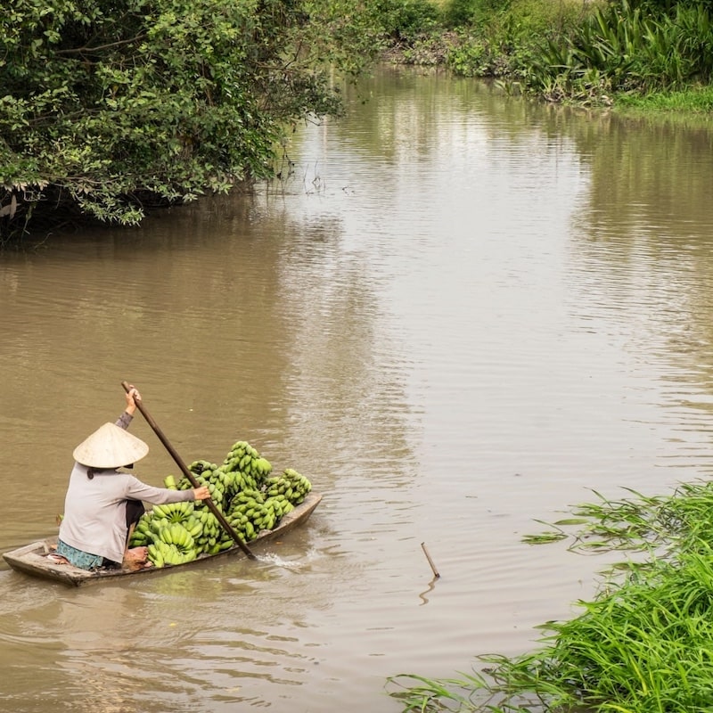 DTD1 - Cu Chi Tunnel & Mekong Delta Full day Trip